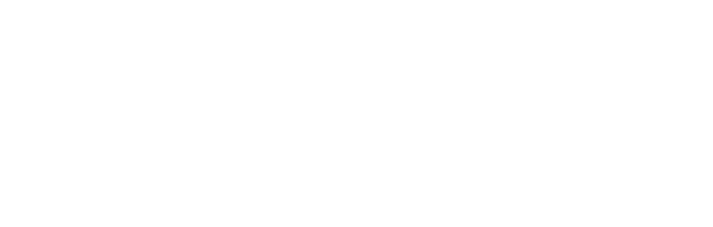 WildcardLogoWhite